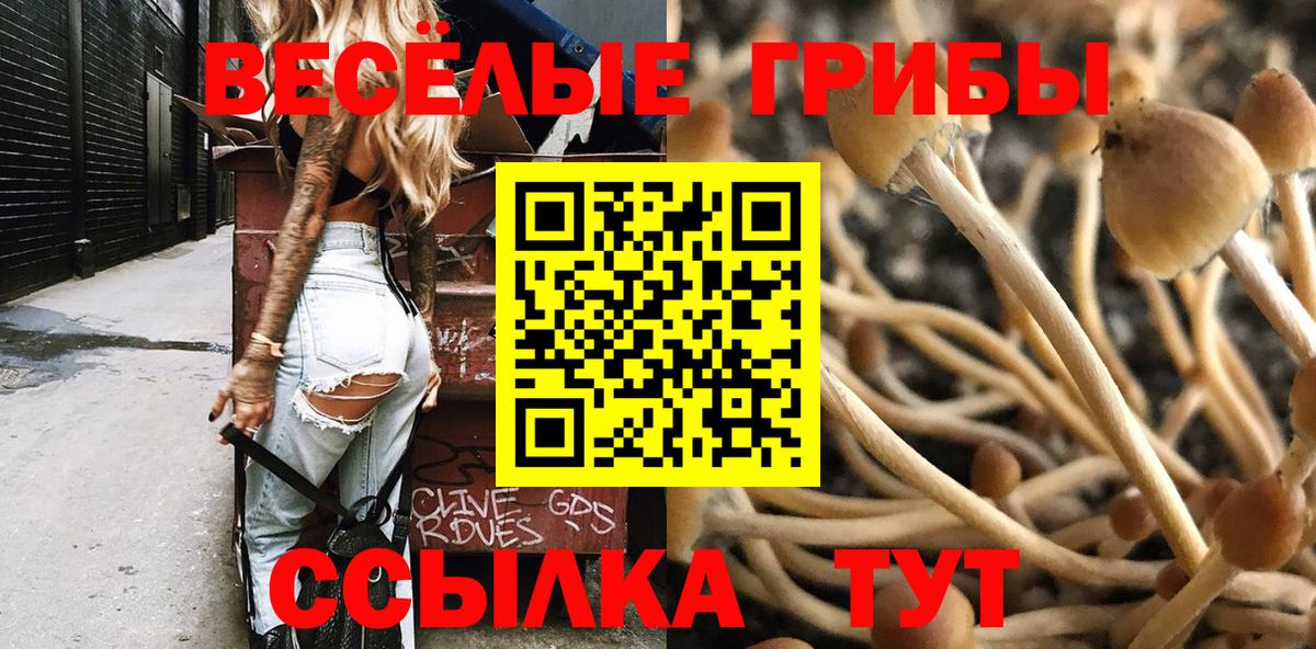 Галлюциногенные грибы ЛСД Нижнекамск