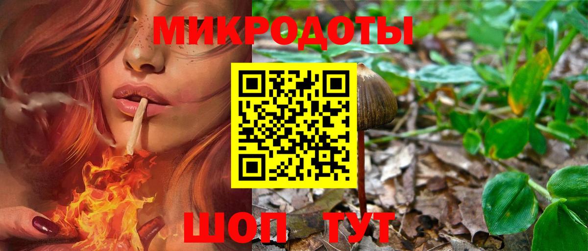 где продают наркотики  Вход с VPN  Нижнекамск  Псилоцибиновые грибы Cubensis 